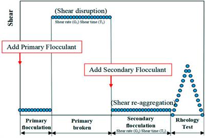 Effect of shear ratio on rheological properties of suspension in two-step flocculation process for fine iron tailings